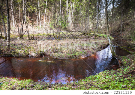 Stream with red water runs through wild forest 22521139