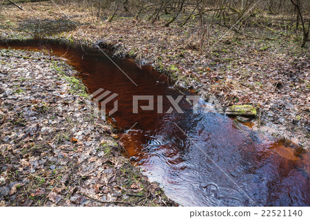 Small red stream runs through wild forest Small red stream runs through wild forest 22521140