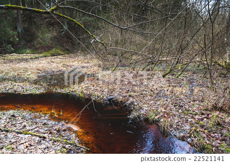 Small stream with red water in forest Small stream with red water in forest 22521141