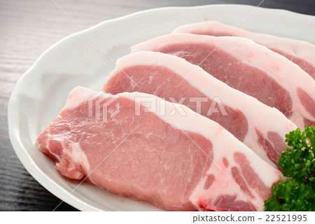 Pork loin 22521995