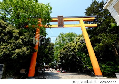 Kawagoe Hikawa Shrine Otorii 22522277
