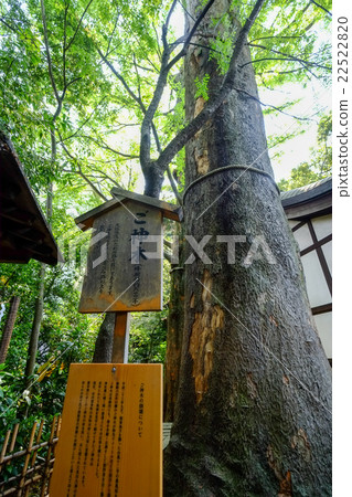 川越冰川神社琪琪（帶招牌） 22522820