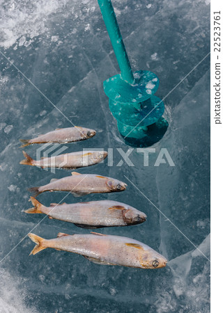 Winter fishing on the lake. 22523761