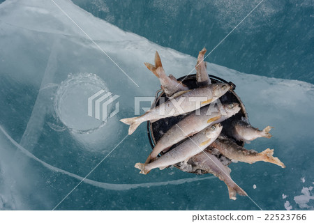 Winter fishing on the lake. 22523766