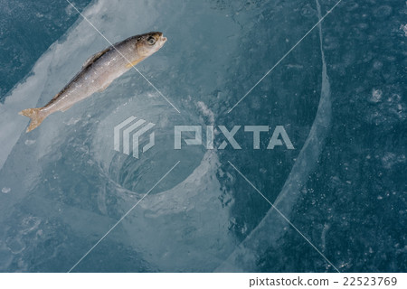 Winter fishing on the lake. Winter fishing on the lake. 22523769