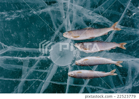 Winter fishing on the lake. Winter fishing on the lake. 22523779