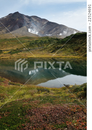 秋天的旭日 22524691