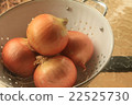 Bowl of Onions 22525730