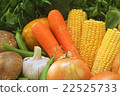 Fruits and Vegetables 22525733