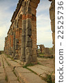 Volubilis 22525736