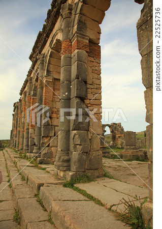 Volubilis 22525736