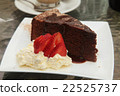 Chocolate Cake 22525737