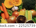 Common Vegetables 22525739