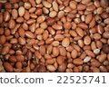 Argan Fruit 22525741