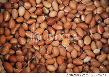 Argan Fruit Argan Fruit 22525741