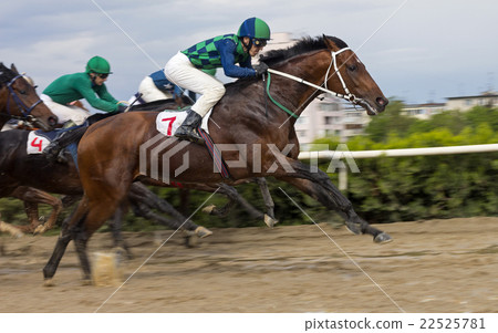 Horse racing in Nalchik. Horse racing in Nalchik. 22525781