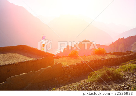 dhankar 22526958