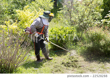 我的姐姐在做割草工作 22528288