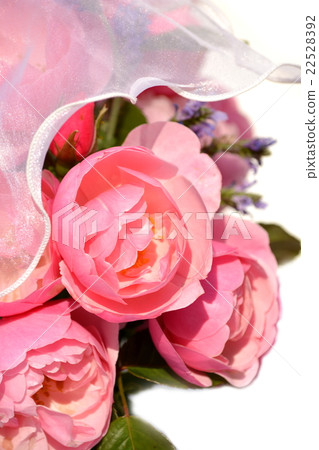 Bouquet of roses, gift gift image Bouquet of roses, gift gift image 22528392
