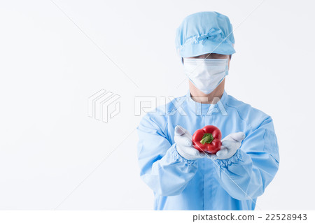 Food inspection / research 22528943