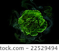 Flowers in the smoke 22529494