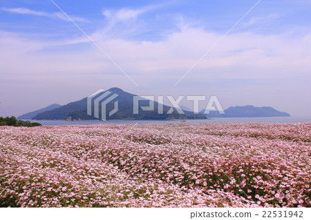 花公園浦島 花公園浦島 22531942
