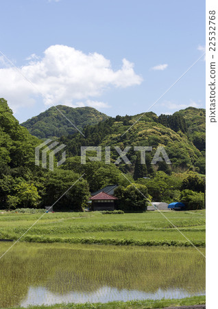 Rice planting later Rice planting later 22532768