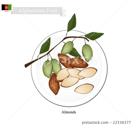 Almonds, One of The Most Popular Fruit Afghanistan 22536377