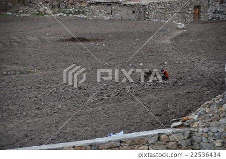 Pakistan Nanga Palavat nearby village Talkin boy playing with Tarsin rear car Pakistan Nanga Palavat nearby village Talkin boy playing with Tarsin rear car 22536434