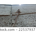 Block fence's Kana Chihiro 22537937