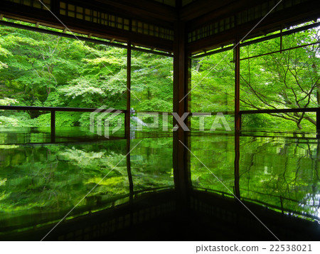 Kyoto Rurikoin 22538021