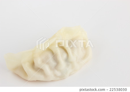 Pan-fried gyoza Pan-fried gyoza 22538030