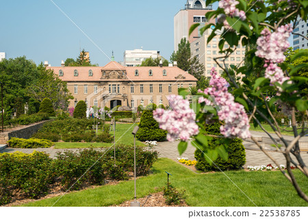 Sapporo Odori Park Lilac 22538785