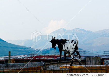 equipment. Castelluccio agriculture. Umbria, Italy equipment. Castelluccio agriculture. Umbria, Italy 22538848