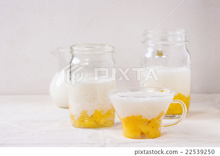 Tapioca dessert with mango Tapioca dessert with mango 22539250