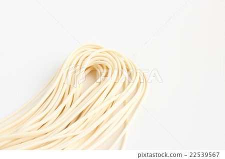 Udon noodle soup noodles Udon noodle soup noodles 22539567