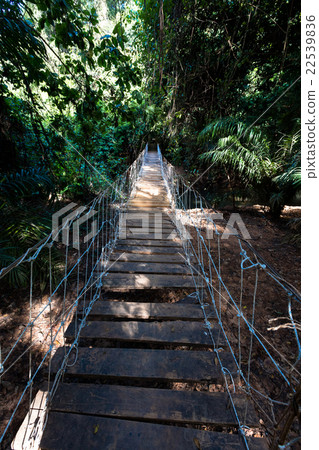 Bridge in Burkina faso 22539836