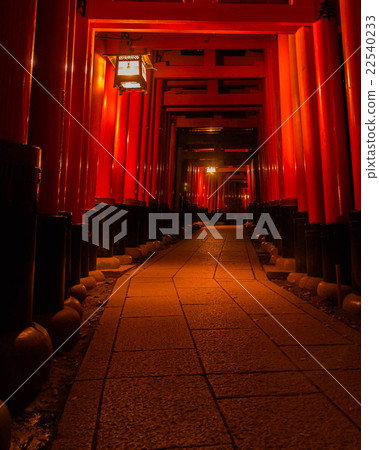 Fushimi Inari at night Fushimi Inari at night 22540233