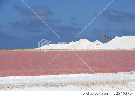 salt, pink, saline lake 22540379