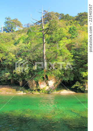 Yakushima A jade color shining along the trolley road Clean current Awa River ① 22540567
