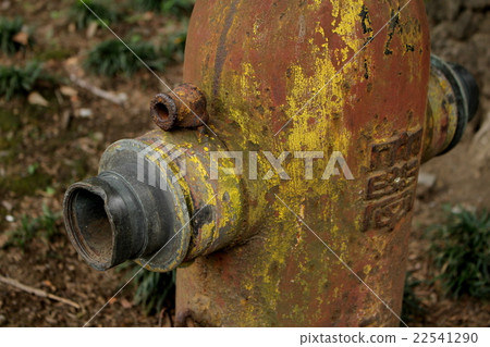 The University of Tokyo Hydrant 22541290
