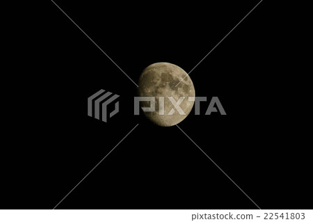 Moon MOON年齡11.3 Saiunchaku潮 22541803