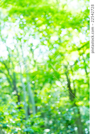 新綠色圖像合成的背景材料綠色背景植物春天初夏雪離開天綠色和拷貝空間 22542728