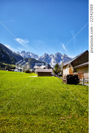 Country road leading to the alpine houses. Country road leading to the alpine houses. 22542989
