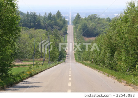 Shari-cho, the road leading to heaven (May 2016) Shari-cho, the road leading to heaven (May 2016) 22543088