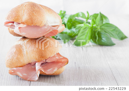 Sandwiches Sub 22543229