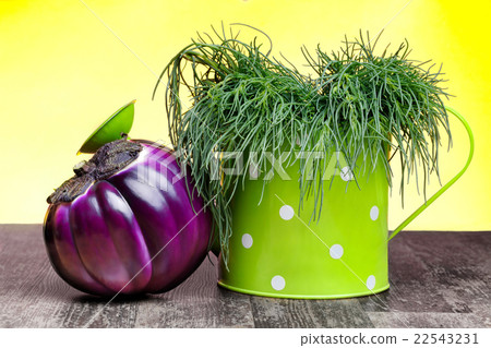 Antioxidant Succulent Vegetables Antioxidant Succulent Vegetables 22543231