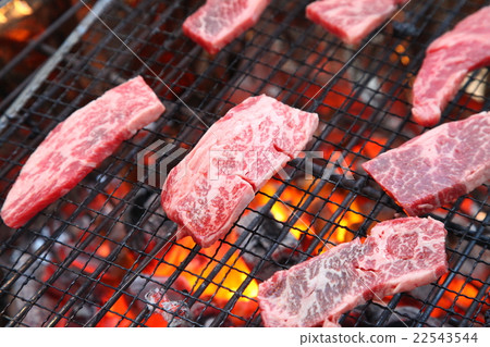 Grilled meat Grilled meat 22543544