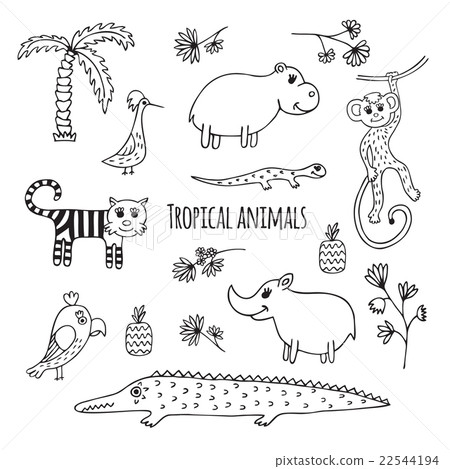 Set of black and white Tropical animals Set of black and white Tropical animals 22544194