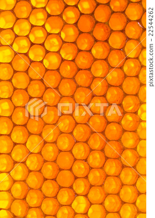 Honeycomb background Honeycomb background 22544262
